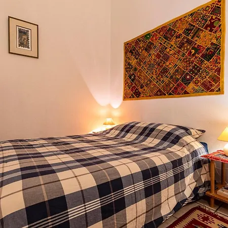 Apartament Cosy - Hyper Centre-ville Ajaccio (Corsica)